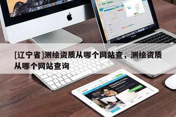 [辽宁省]测绘资质从哪个网站查，测绘资质从哪个网站查询