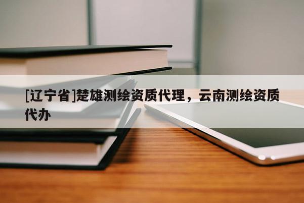 [辽宁省]楚雄测绘资质代理，云南测绘资质代办