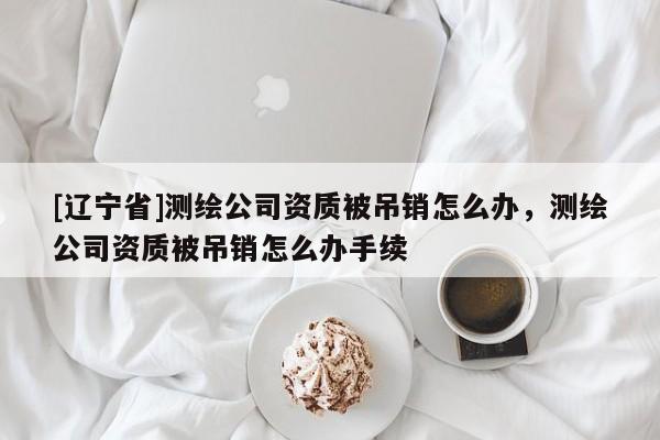 [辽宁省]测绘公司资质被吊销怎么办，测绘公司资质被吊销怎么办手续