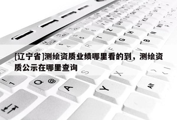 [辽宁省]测绘资质业绩哪里看的到，测绘资质公示在哪里查询
