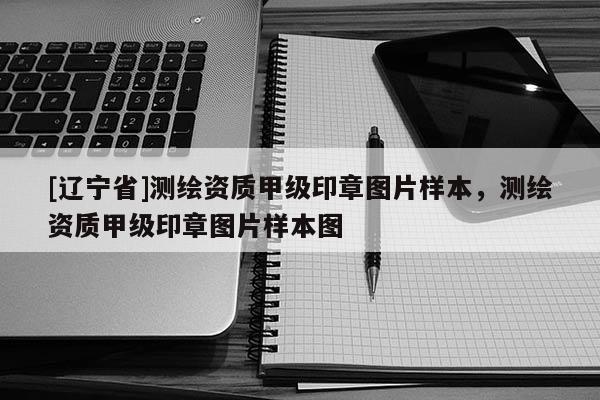 [辽宁省]测绘资质甲级印章图片样本，测绘资质甲级印章图片样本图