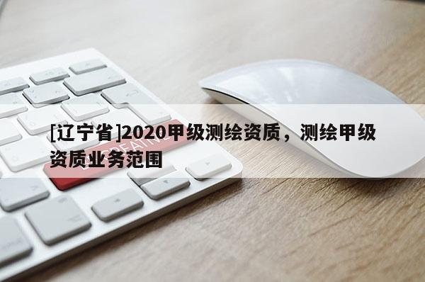 [辽宁省]2020甲级测绘资质，测绘甲级资质业务范围