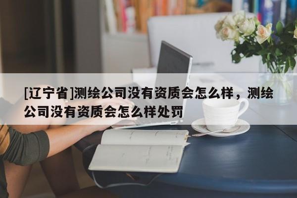 [辽宁省]测绘公司没有资质会怎么样，测绘公司没有资质会怎么样处罚