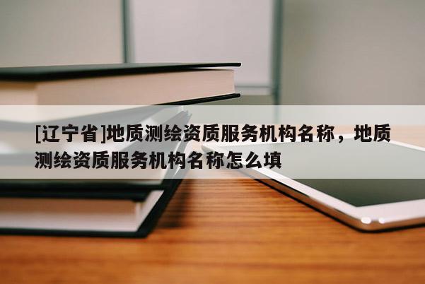 [辽宁省]地质测绘资质服务机构名称，地质测绘资质服务机构名称怎么填