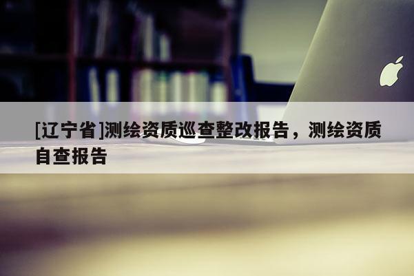 [辽宁省]测绘资质巡查整改报告，测绘资质自查报告