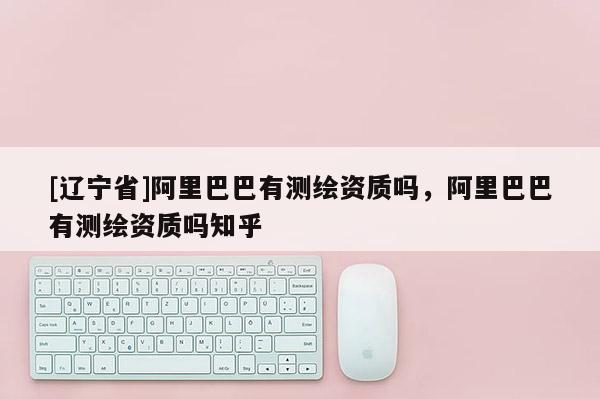 [辽宁省]阿里巴巴有测绘资质吗，阿里巴巴有测绘资质吗知乎