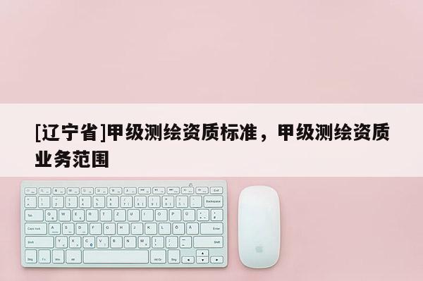 [辽宁省]甲级测绘资质标准，甲级测绘资质业务范围