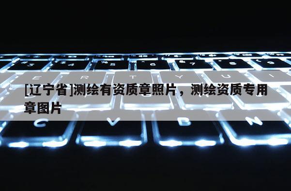 [辽宁省]测绘有资质章照片，测绘资质专用章图片