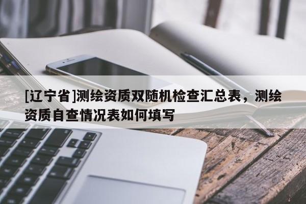 [辽宁省]测绘资质双随机检查汇总表，测绘资质自查情况表如何填写