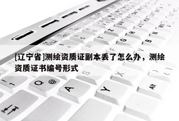 [辽宁省]测绘资质证副本丢了怎么办，测绘资质证书编号形式