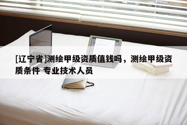 [辽宁省]测绘甲级资质值钱吗，测绘甲级资质条件 专业技术人员
