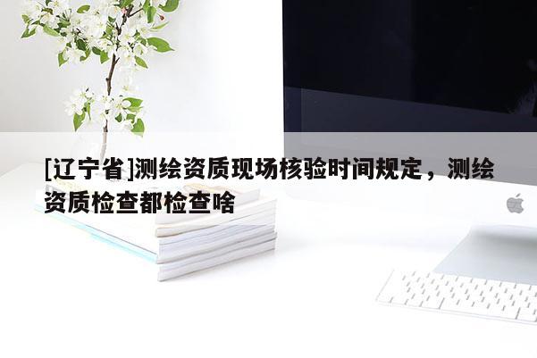 [辽宁省]测绘资质现场核验时间规定，测绘资质检查都检查啥