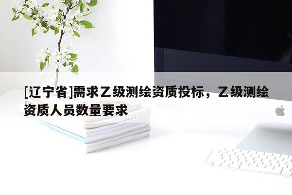[辽宁省]需求乙级测绘资质投标，乙级测绘资质人员数量要求