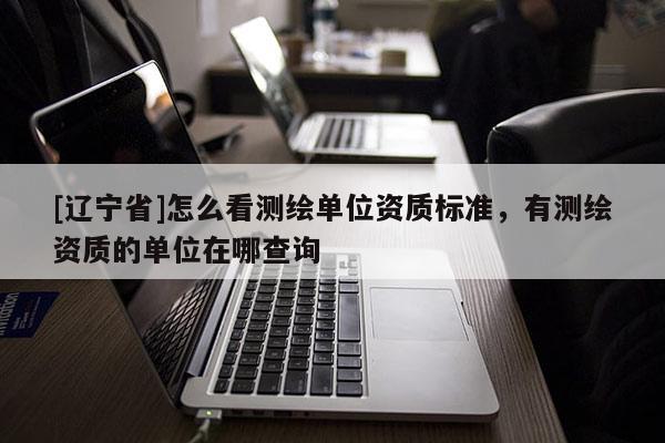 [辽宁省]怎么看测绘单位资质标准，有测绘资质的单位在哪查询