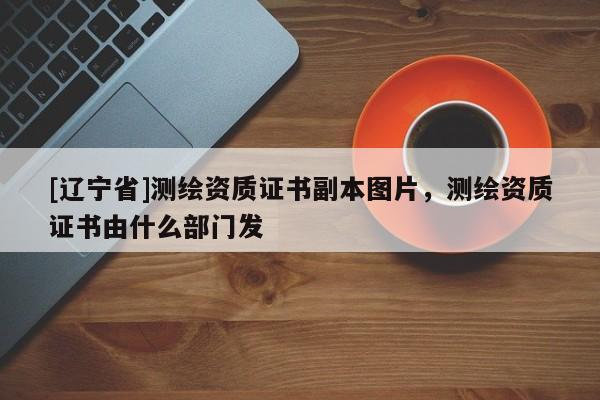 [辽宁省]测绘资质证书副本图片，测绘资质证书由什么部门发