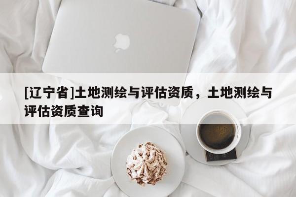 [辽宁省]土地测绘与评估资质，土地测绘与评估资质查询