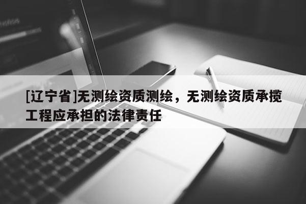 [辽宁省]无测绘资质测绘，无测绘资质承揽工程应承担的法律责任