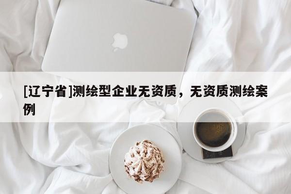 [辽宁省]测绘型企业无资质，无资质测绘案例