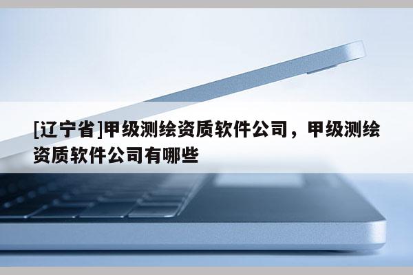[辽宁省]甲级测绘资质软件公司，甲级测绘资质软件公司有哪些