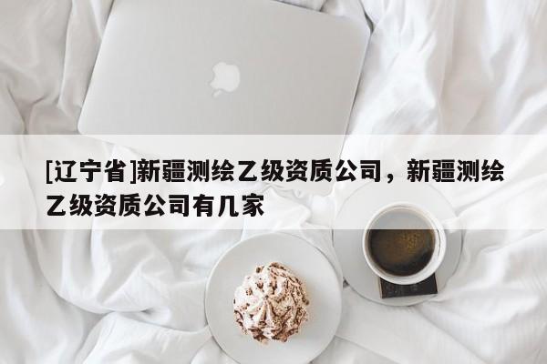[辽宁省]新疆测绘乙级资质公司，新疆测绘乙级资质公司有几家