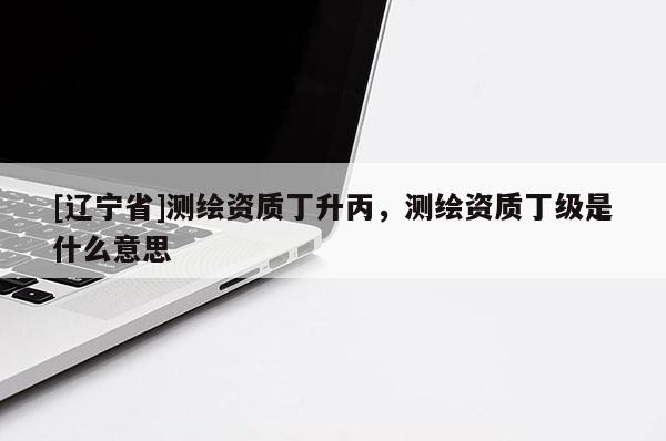 [辽宁省]测绘资质丁升丙，测绘资质丁级是什么意思