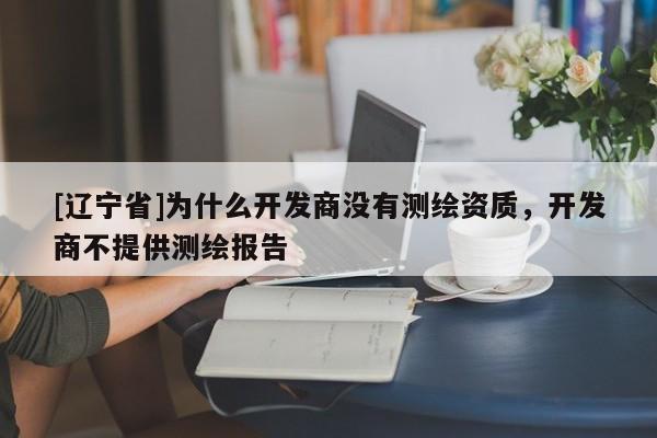 [辽宁省]为什么开发商没有测绘资质，开发商不提供测绘报告