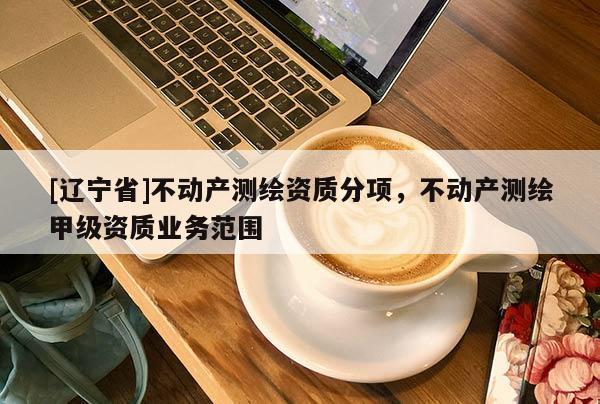 [辽宁省]不动产测绘资质分项，不动产测绘甲级资质业务范围