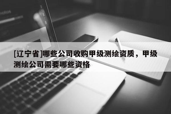 [辽宁省]哪些公司收购甲级测绘资质，甲级测绘公司需要哪些资格
