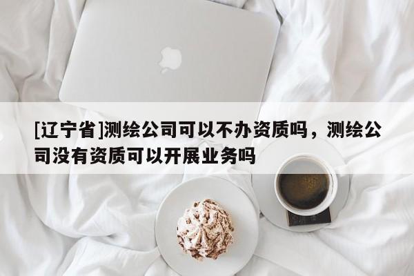 [辽宁省]测绘公司可以不办资质吗，测绘公司没有资质可以开展业务吗