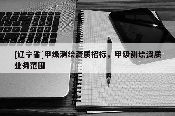 [辽宁省]甲级测绘资质招标，甲级测绘资质业务范围