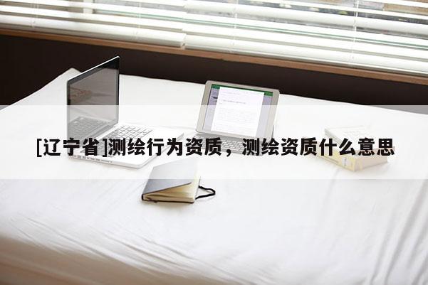 [辽宁省]测绘行为资质，测绘资质什么意思