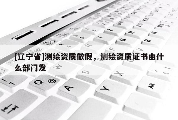 [辽宁省]测绘资质做假，测绘资质证书由什么部门发