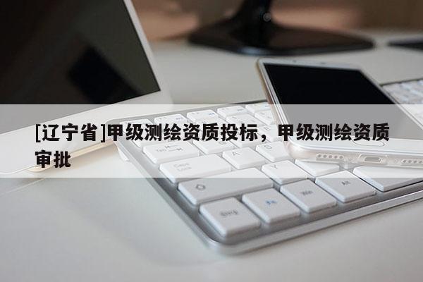 [辽宁省]甲级测绘资质投标，甲级测绘资质审批
