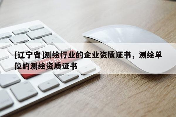 [辽宁省]测绘行业的企业资质证书，测绘单位的测绘资质证书