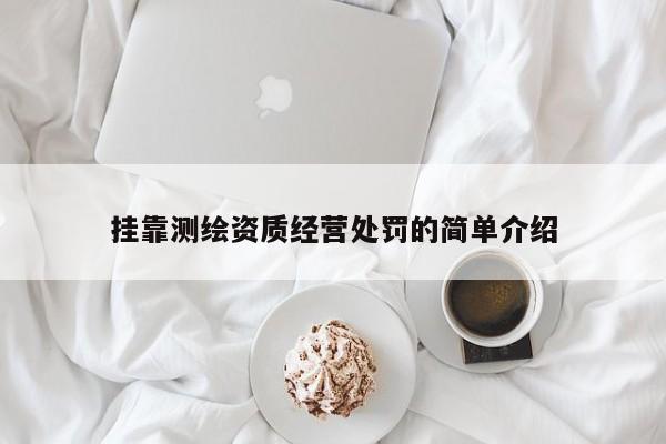 挂靠测绘资质经营处罚的简单介绍