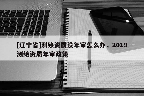 [辽宁省]测绘资质没年审怎么办，2019测绘资质年审政策
