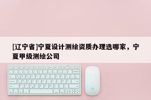 [辽宁省]宁夏设计测绘资质办理选哪家，宁夏甲级测绘公司
