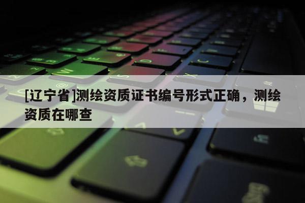 [辽宁省]测绘资质证书编号形式正确，测绘资质在哪查