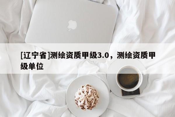 [辽宁省]测绘资质甲级3.0，测绘资质甲级单位