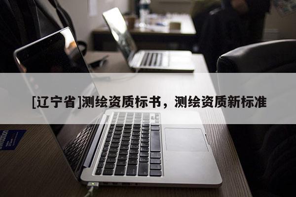 [辽宁省]测绘资质标书，测绘资质新标准
