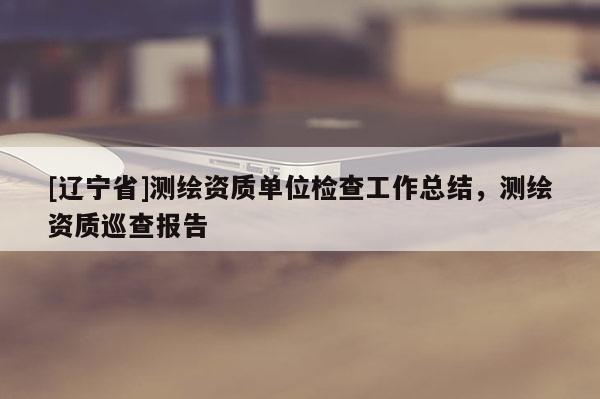 [辽宁省]测绘资质单位检查工作总结，测绘资质巡查报告