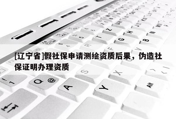 [辽宁省]假社保申请测绘资质后果，伪造社保证明办理资质