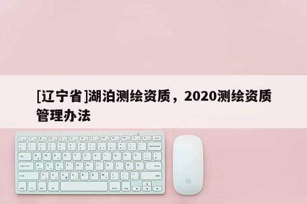 [辽宁省]湖泊测绘资质，2020测绘资质管理办法