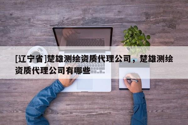 [辽宁省]楚雄测绘资质代理公司，楚雄测绘资质代理公司有哪些