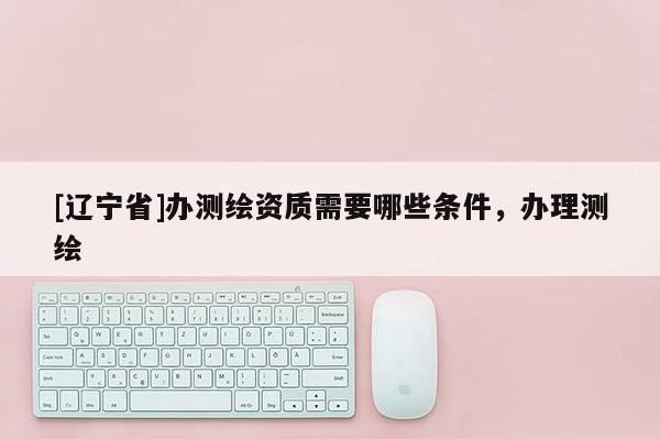 [辽宁省]办测绘资质需要哪些条件，办理测绘
