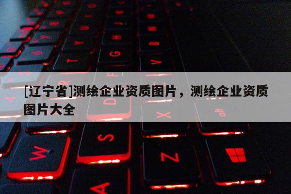 [辽宁省]测绘企业资质图片，测绘企业资质图片大全