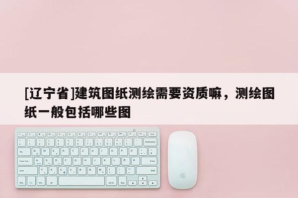 [辽宁省]建筑图纸测绘需要资质嘛，测绘图纸一般包括哪些图